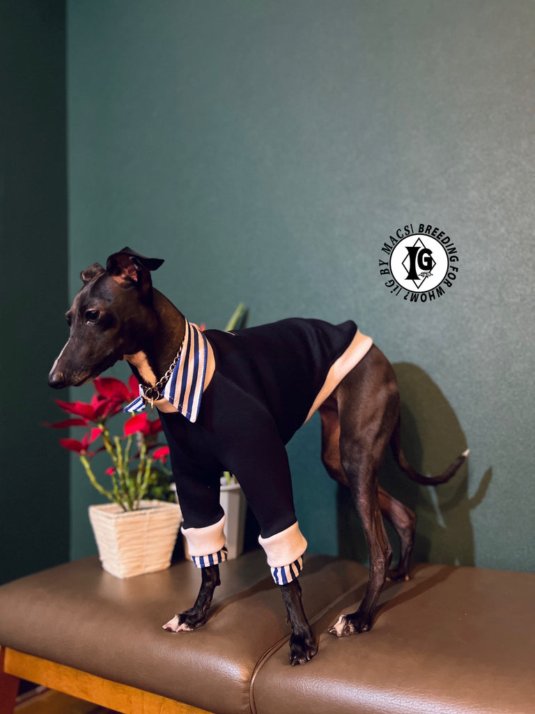 "The Night Blossom" Shirt Layered Pullover- Navy