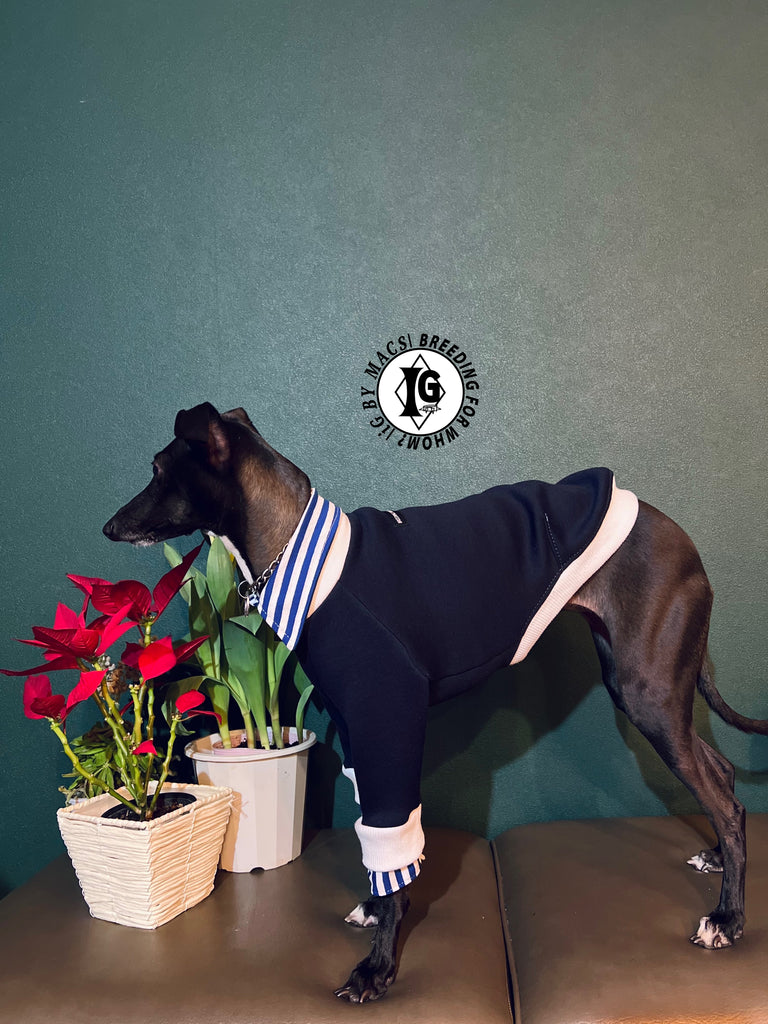 "The Night Blossom" Shirt Layered Pullover- Navy