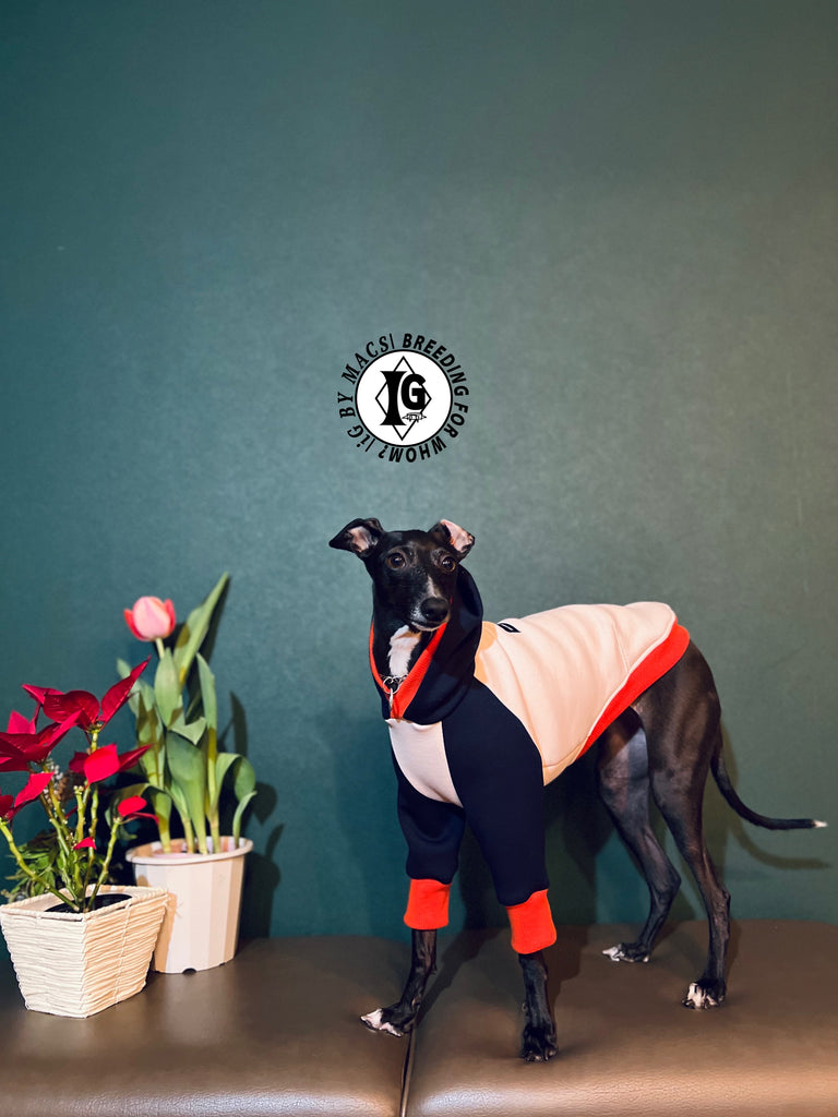 "The Night Blossom" Hoodie Pullover -Sakura pink+Navy