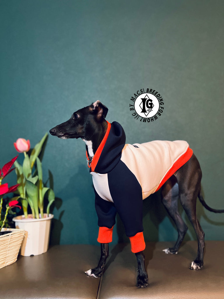 "The Night Blossom" Hoodie Pullover -Sakura pink+Navy
