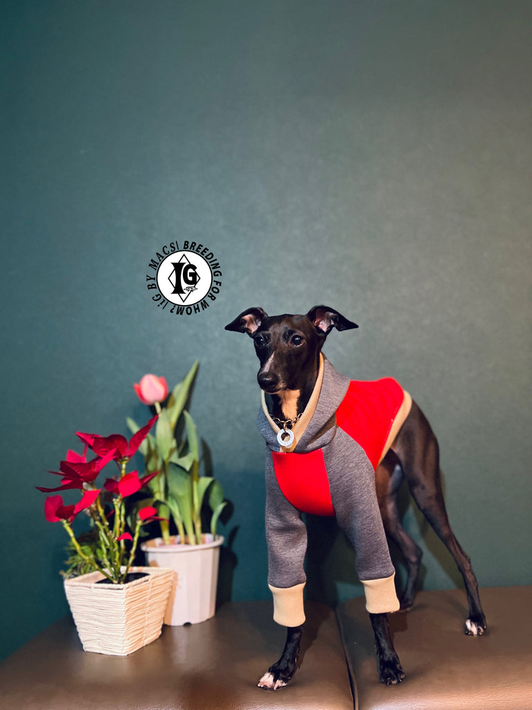 "The Night Blossom" Hoodie pullover- Red+Gray