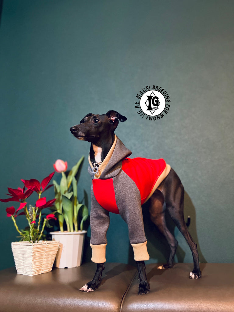 "The Night Blossom" Hoodie pullover- Red+Gray