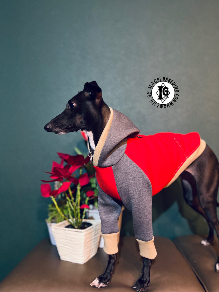 "The Night Blossom" Hoodie pullover- Red+Gray