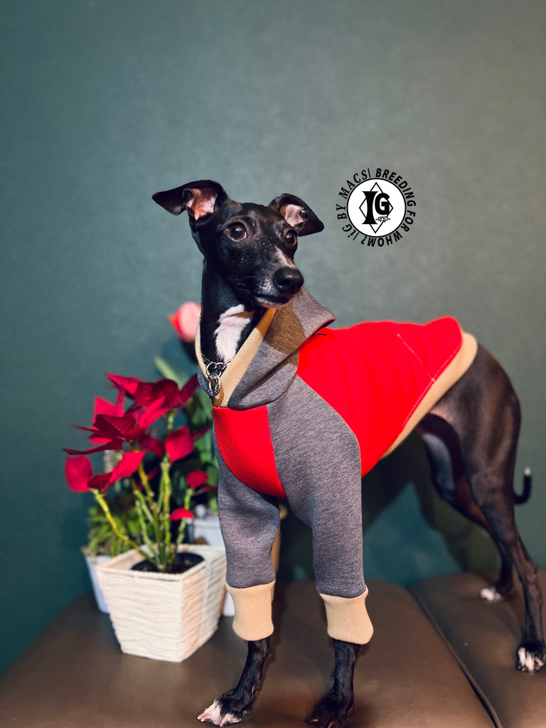"The Night Blossom" Hoodie pullover- Red+Gray