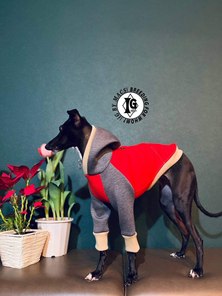 "The Night Blossom" Hoodie pullover- Red+Gray