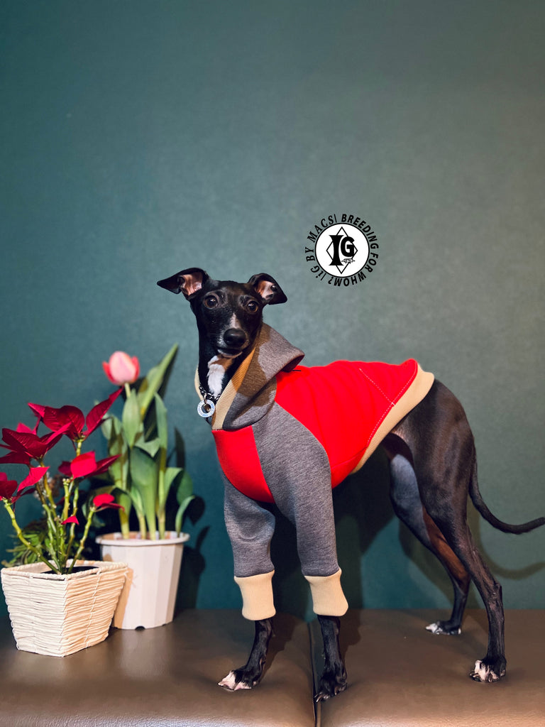 "The Night Blossom" Hoodie pullover- Red+Gray