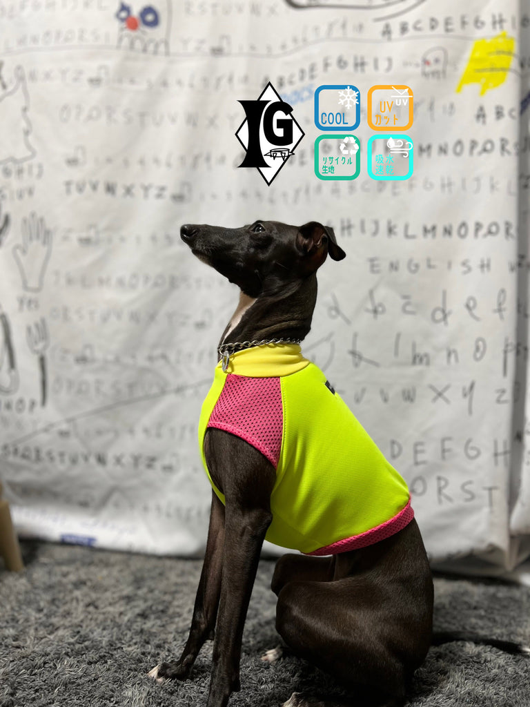 "paparazziG" UVcut+Cool No-sleeve