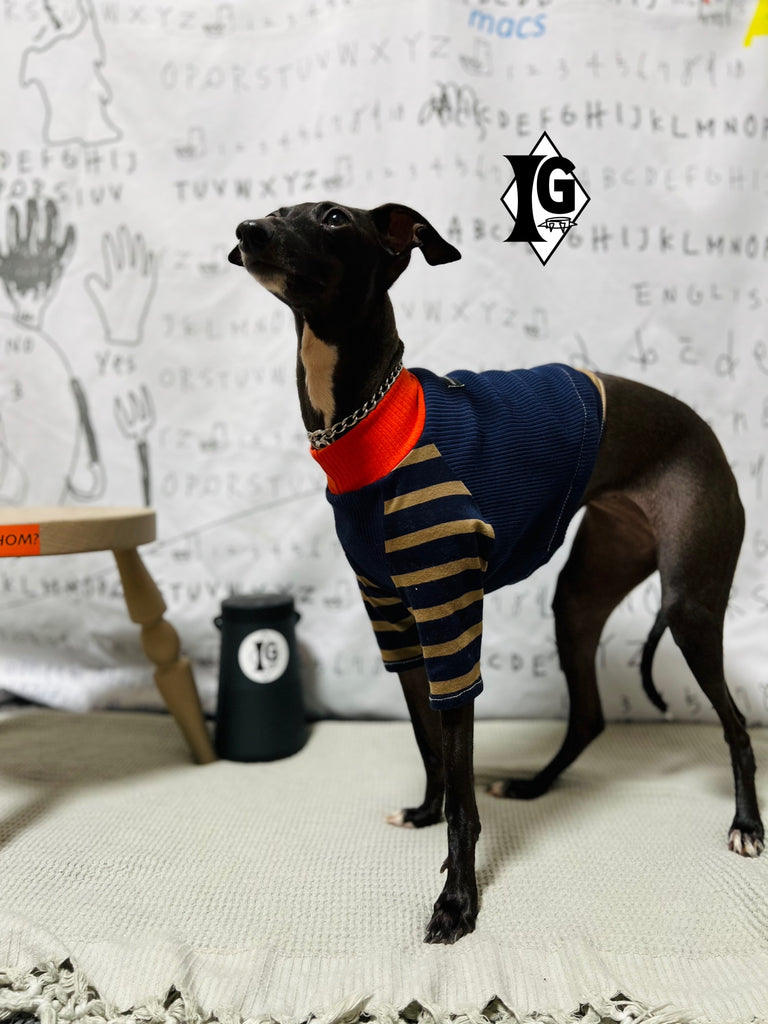 "paparazziG"ボーダーT-shirt 2Color