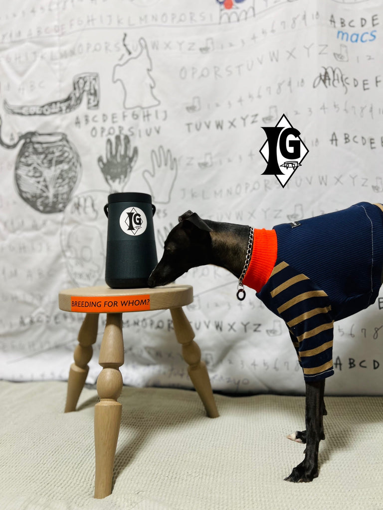 "paparazziG"ボーダーT-shirt 2Color