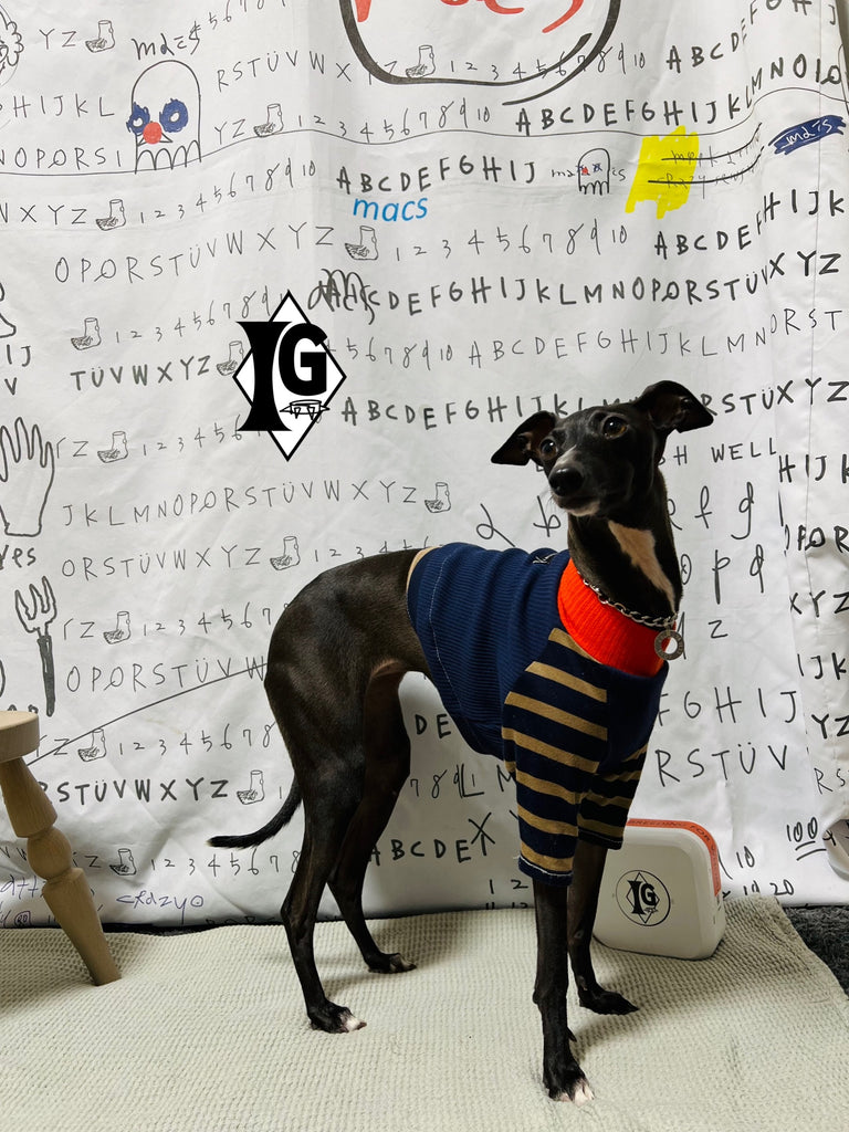 "paparazziG"ボーダーT-shirt 2Color