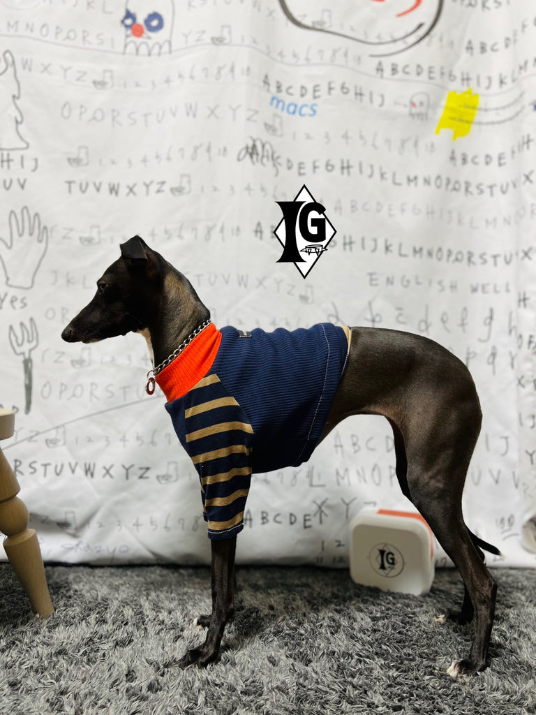 "paparazziG"ボーダーT-shirt 2Color