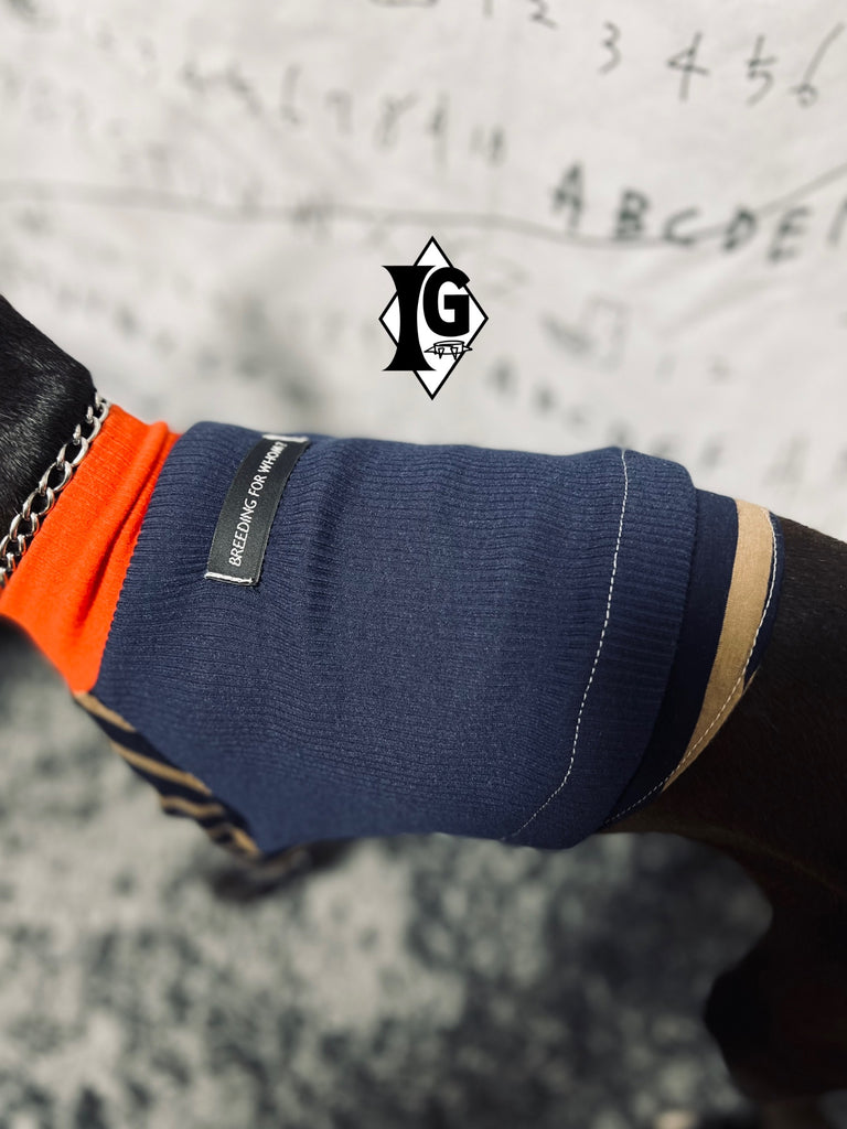 "paparazziG"ボーダーT-shirt 2Color