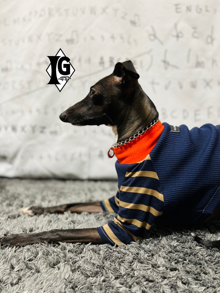 "paparazziG"ボーダーT-shirt 2Color