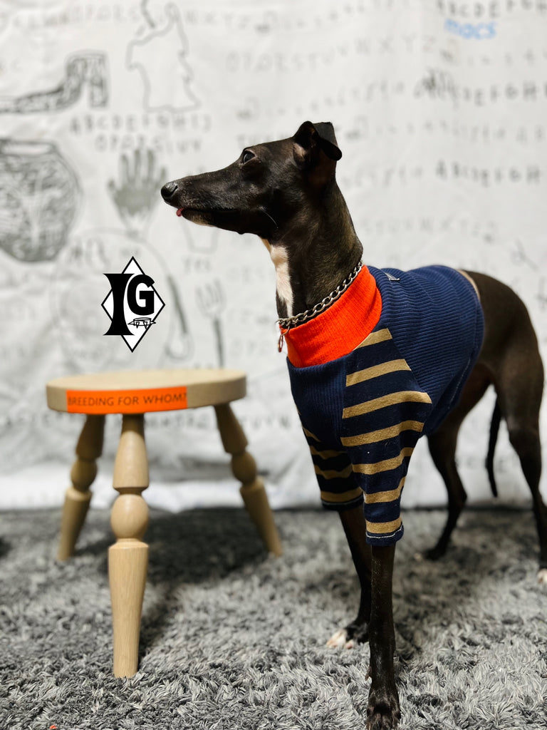 "paparazziG"ボーダーT-shirt 2Color