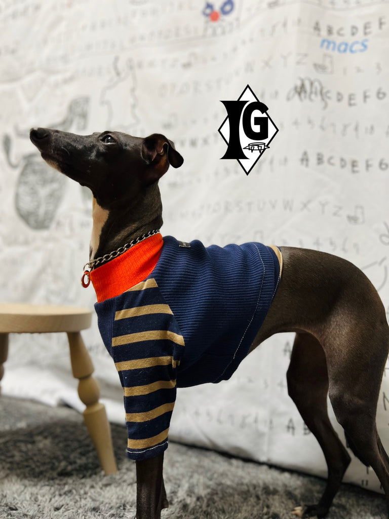 "paparazziG"ボーダーT-shirt 2Color