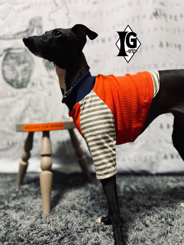 "paparazziG" ボーダーT-Shirt 2Color