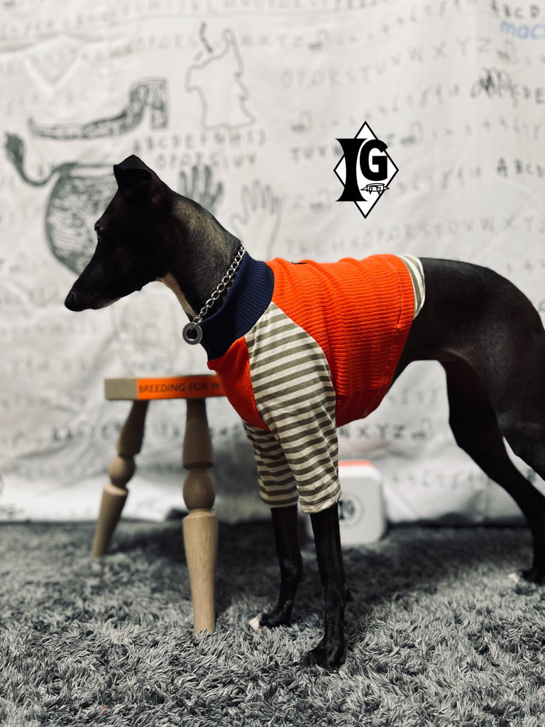 "paparazziG" ボーダーT-Shirt 2Color