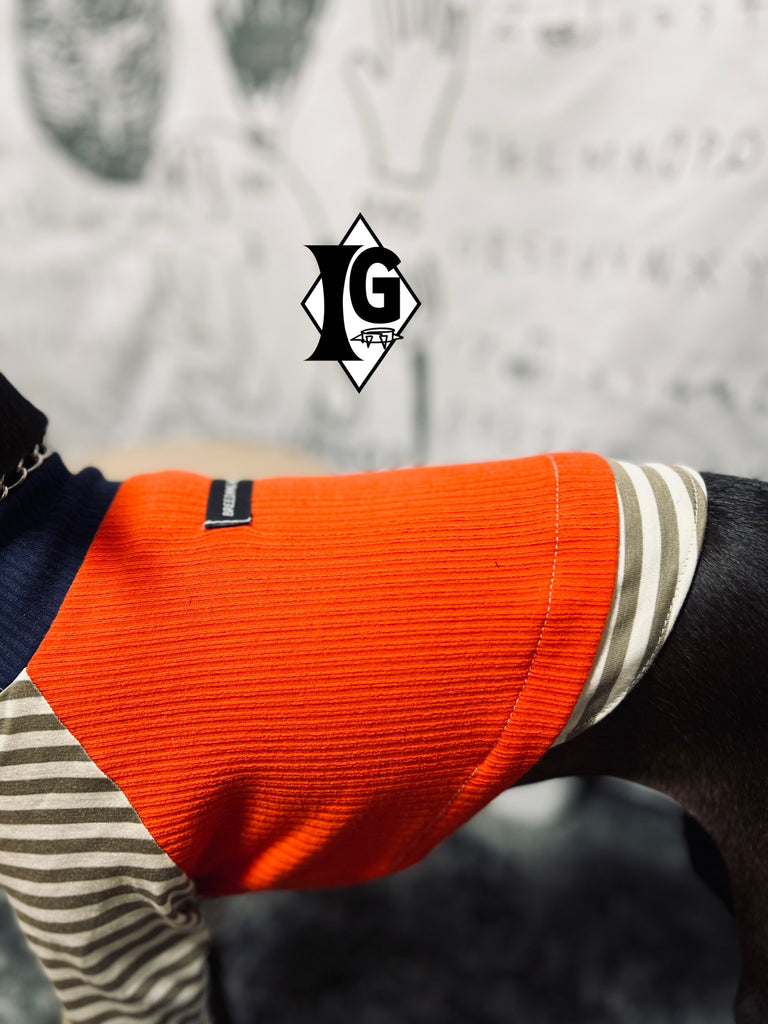 "paparazziG" ボーダーT-Shirt 2Color