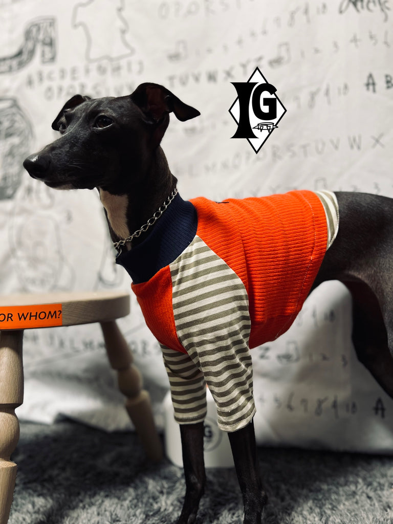 "paparazziG" ボーダーT-Shirt 2Color