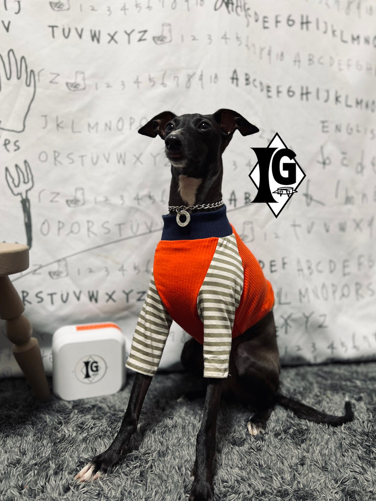 "paparazziG" ボーダーT-Shirt 2Color