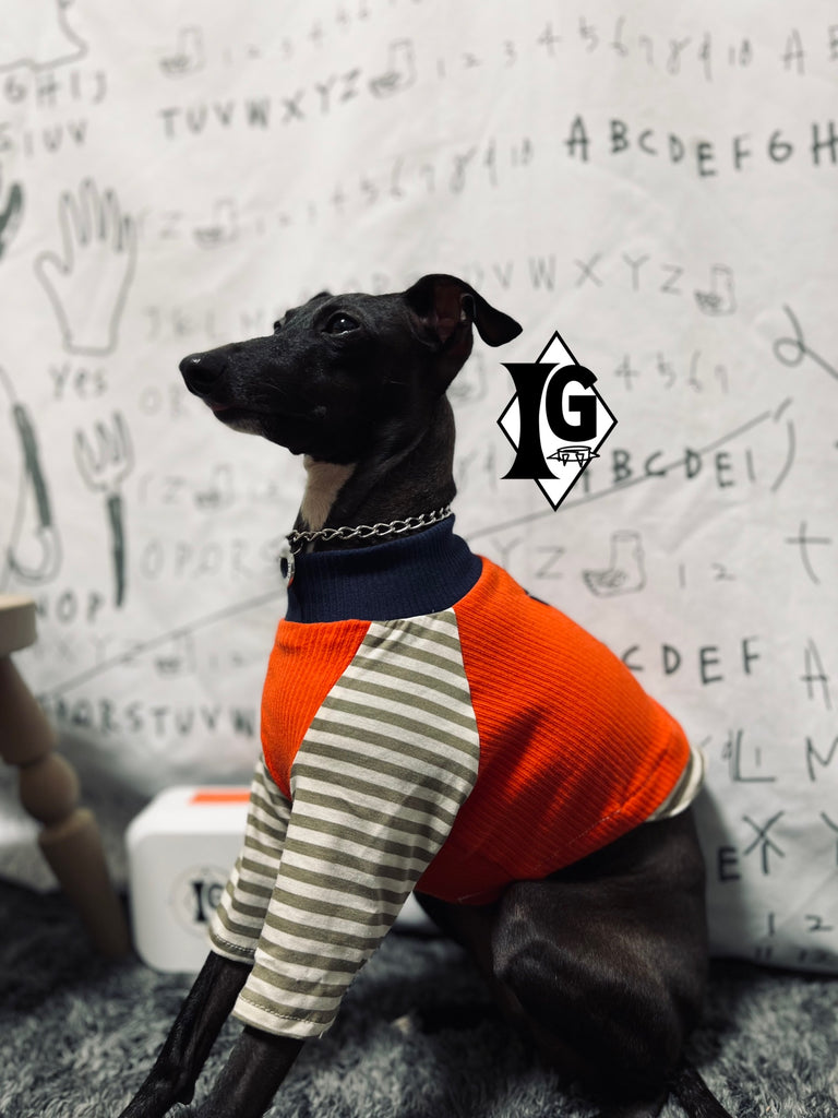 "paparazziG" ボーダーT-Shirt 2Color