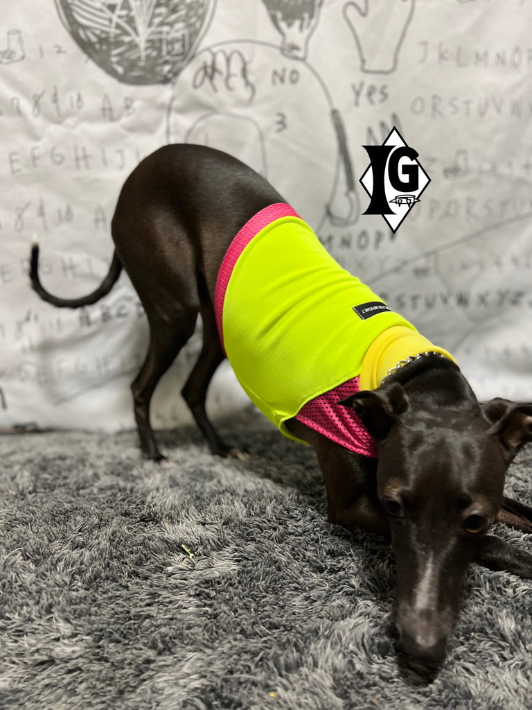 "paparazziG" UVcut+Cool No-sleeve