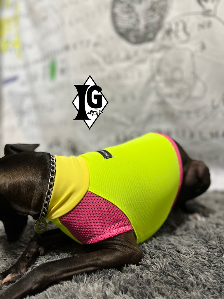 "paparazziG" UVcut+Cool No-sleeve