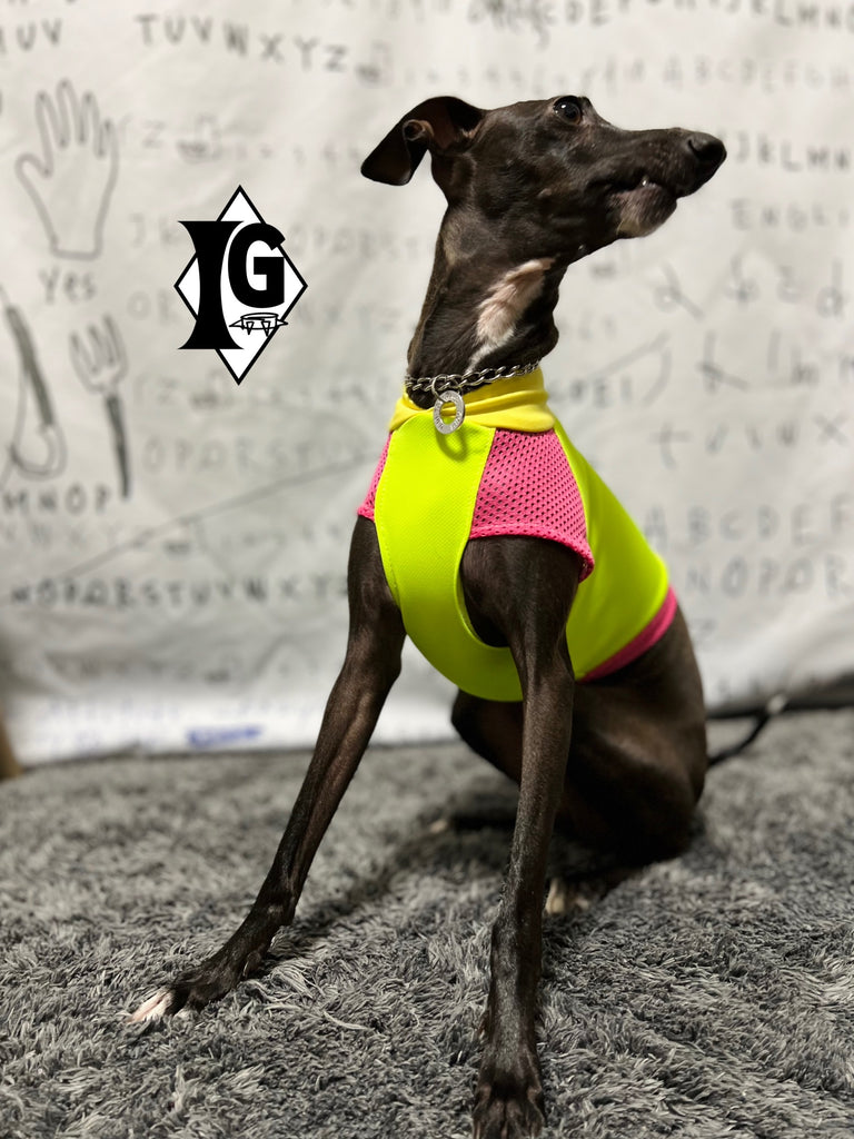 "paparazziG" UVcut+Cool No-sleeve