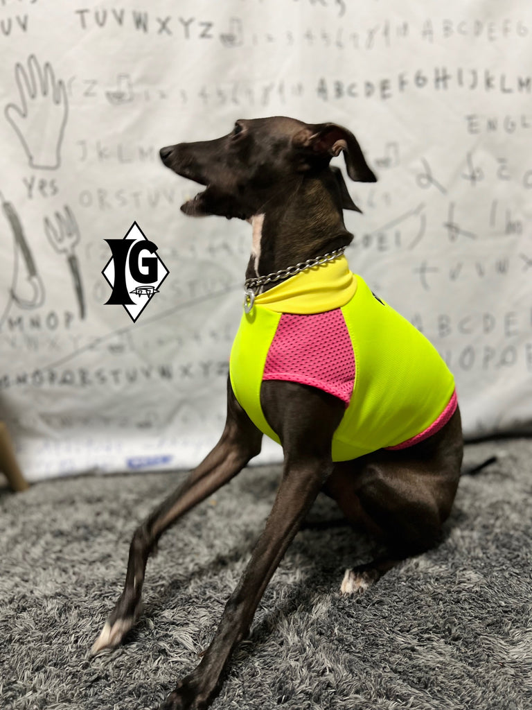 "paparazziG" UVcut+Cool No-sleeve