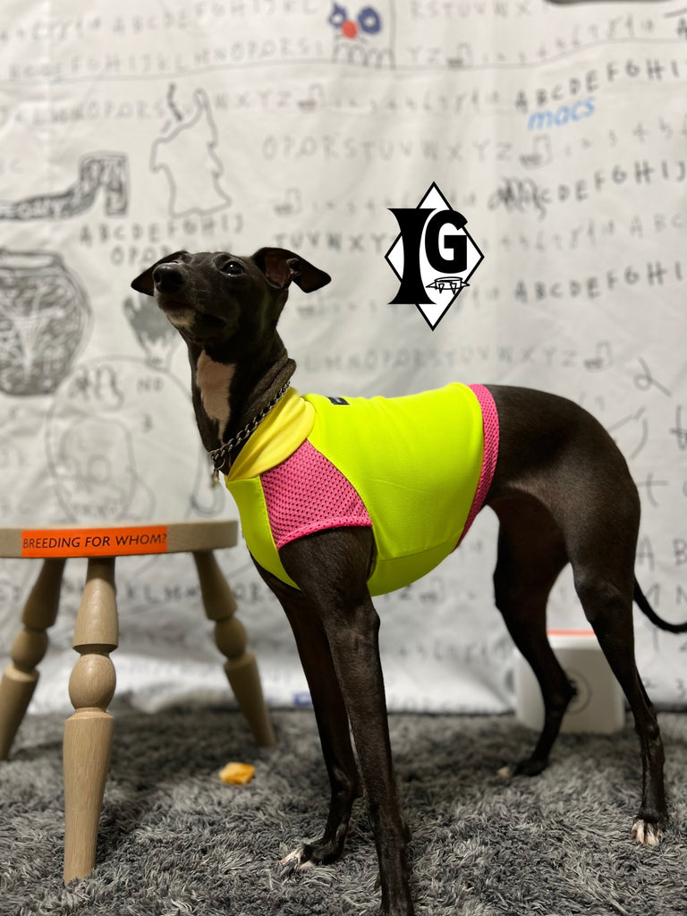 "paparazziG" UVcut+Cool No-sleeve