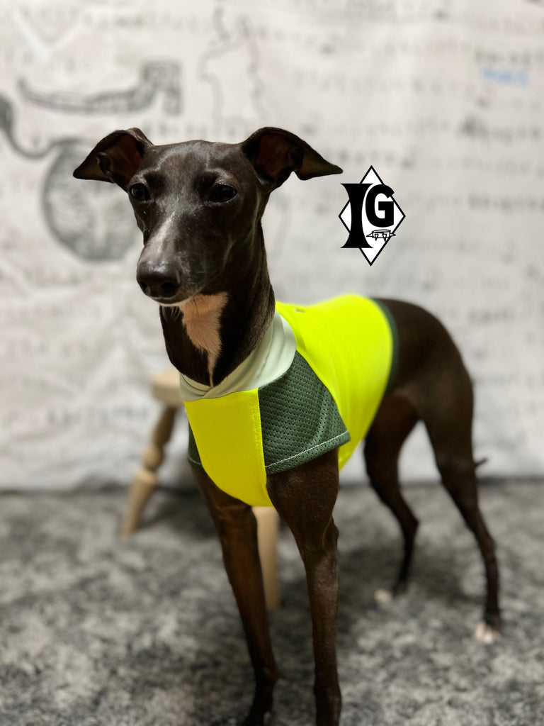 "paparazziG" UVcut+Cool No-sleeve