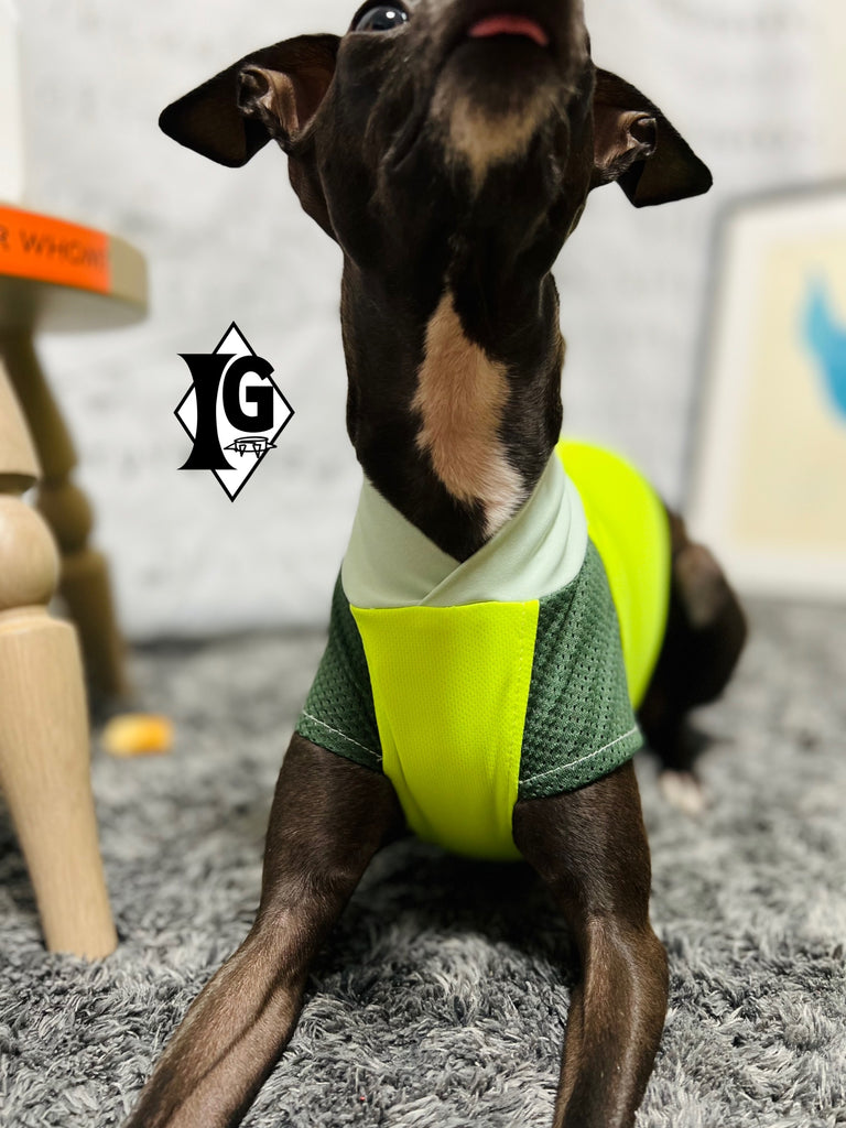 "paparazziG" UVcut+Cool No-sleeve