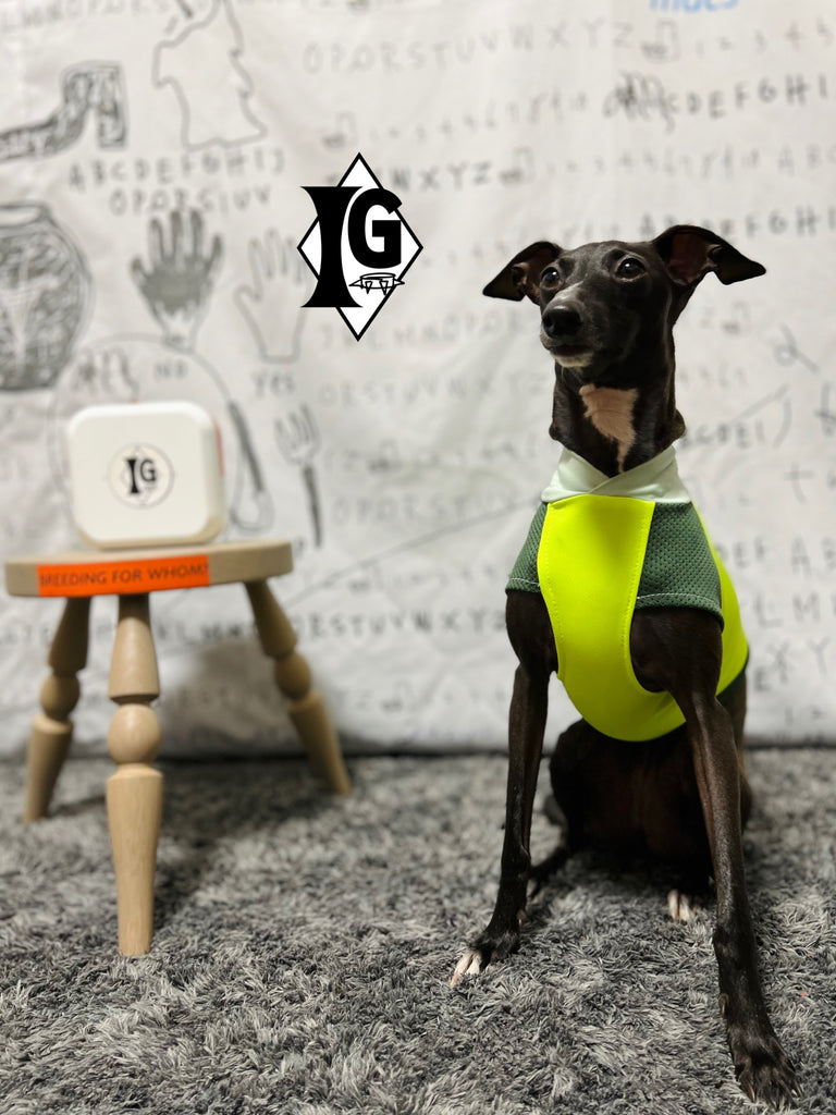 "paparazziG" UVcut+Cool No-sleeve