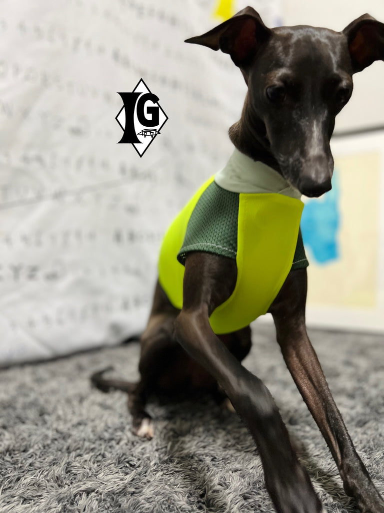 "paparazziG" UVcut+Cool No-sleeve