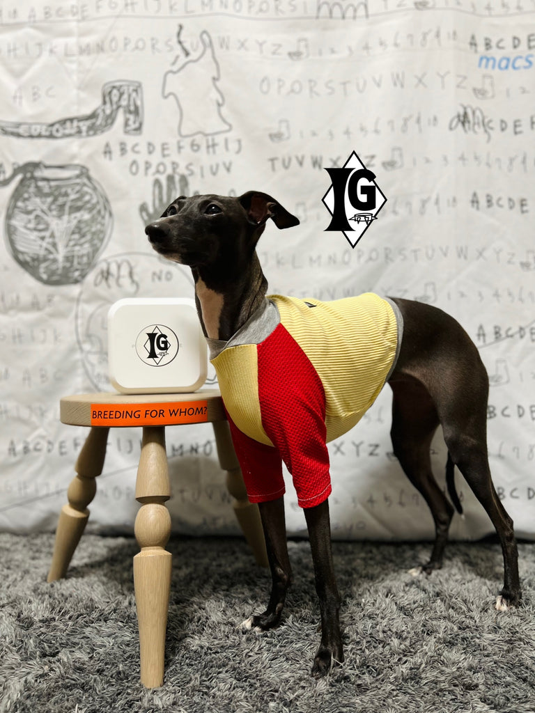 "paparazziG" Mesh T-shirt 4Color