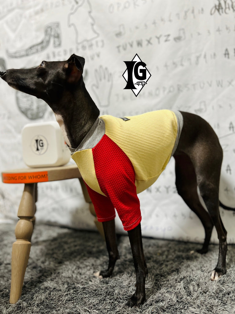 "paparazziG" Mesh T-shirt 4Color