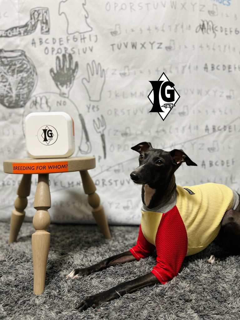 "paparazziG" Mesh T-shirt 4Color