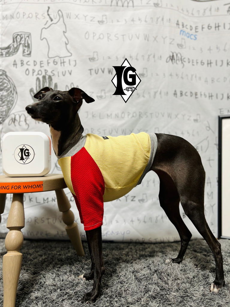 "paparazziG" Mesh T-shirt 4Color