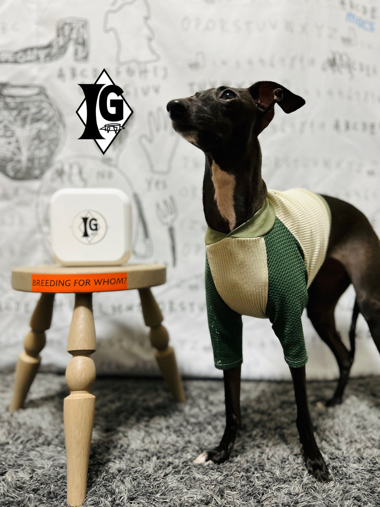 "paparazziG" Mesh T-Shirt 4Color