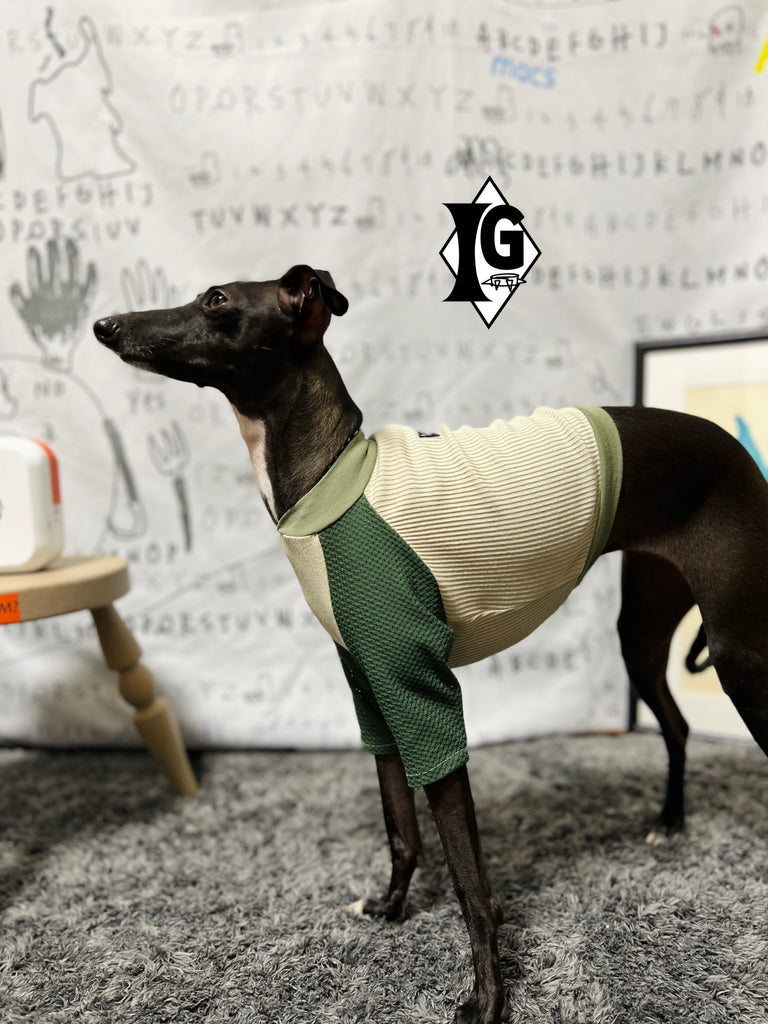 "paparazziG" Mesh T-Shirt 4Color