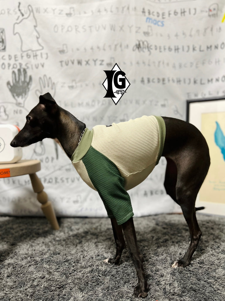 "paparazziG" Mesh T-Shirt 4Color