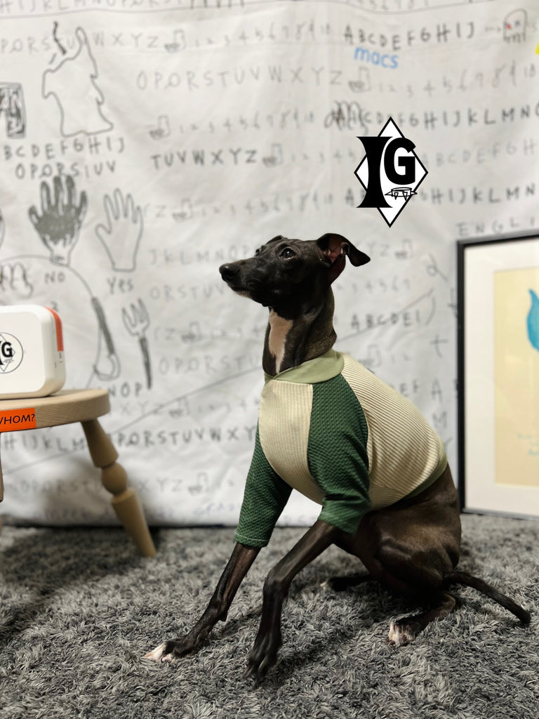 "paparazziG" Mesh T-Shirt 4Color