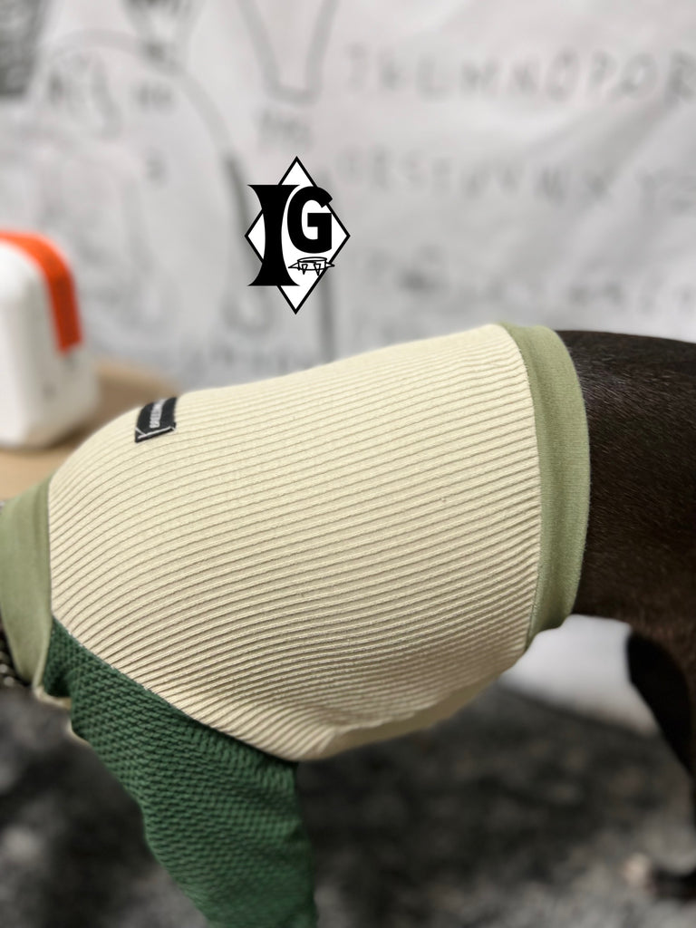 "paparazziG" Mesh T-Shirt 4Color