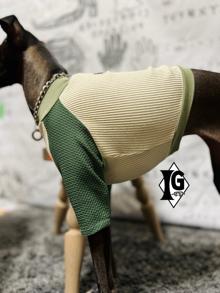 "paparazziG" Mesh T-Shirt 4Color