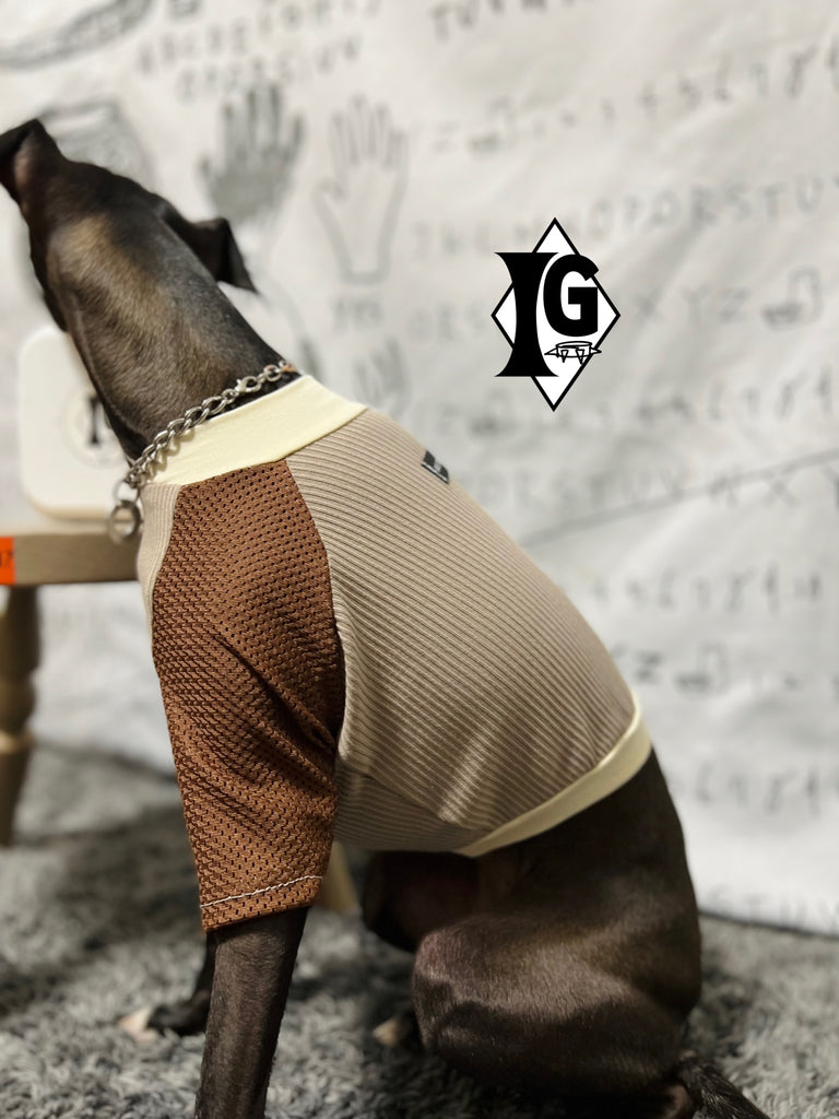 "paparazziG" Mesh T-shirt 4Color