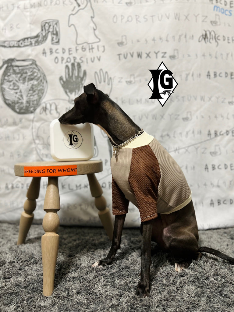 "paparazziG" Mesh T-shirt 4Color