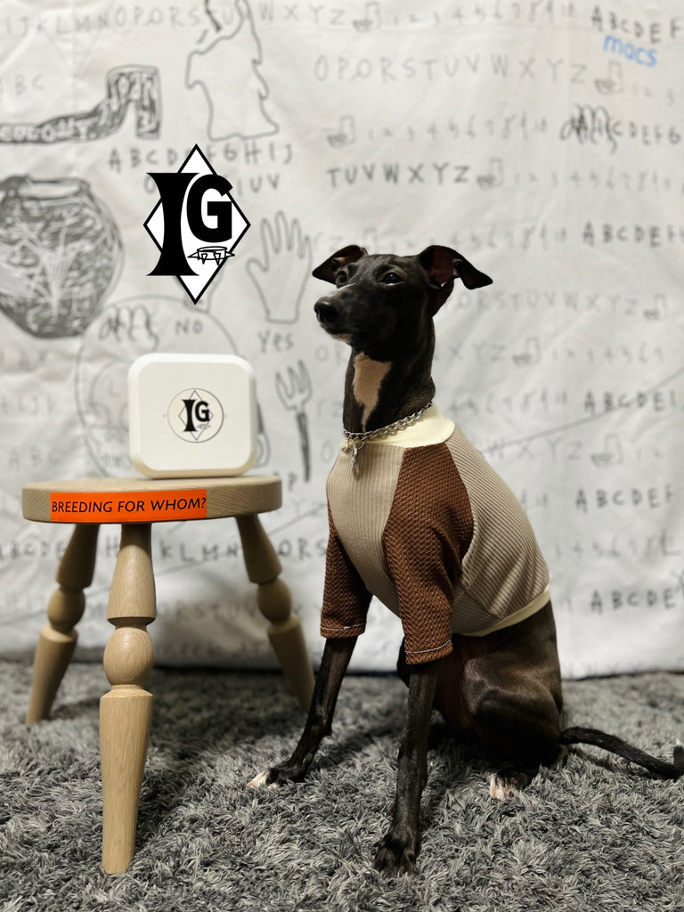 "paparazziG" Mesh T-shirt 4Color