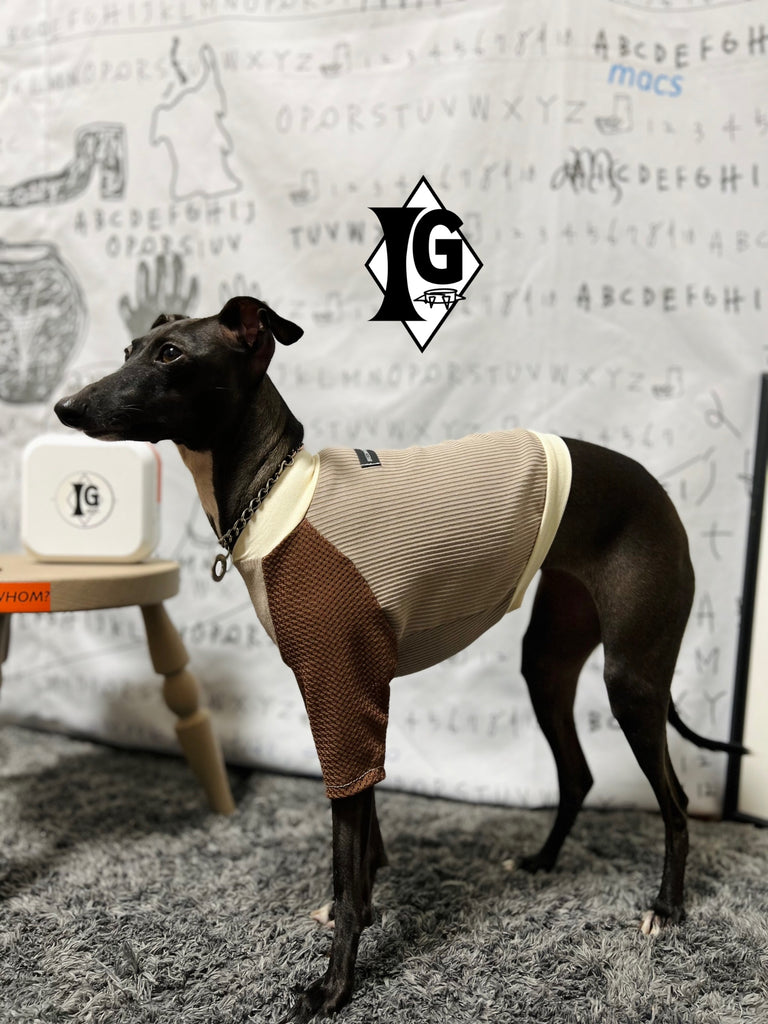 "paparazziG" Mesh T-shirt 4Color