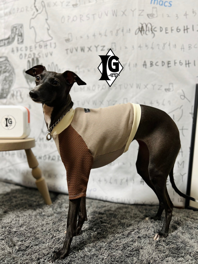 "paparazziG" Mesh T-shirt 4Color