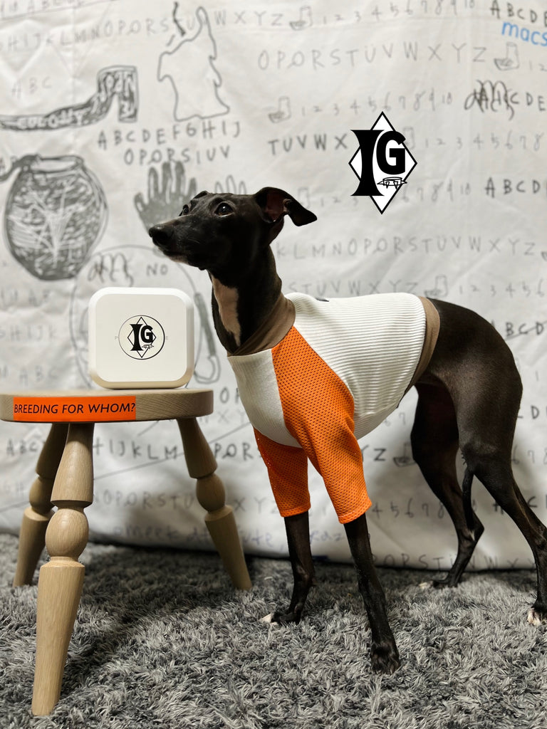 "paparazziG" Mesh T-shirt 4Color